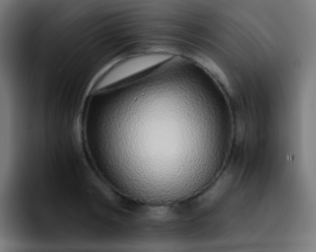 X0000093230798200710101403