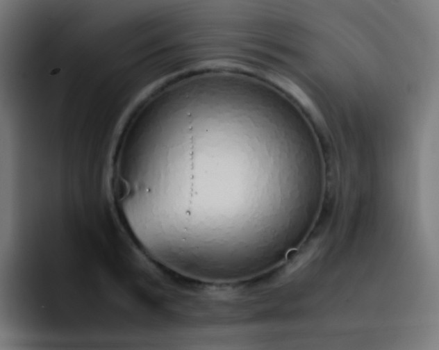 X0000093230799200710101403