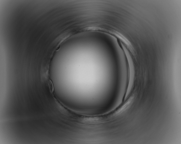 X0000093230801200710101403