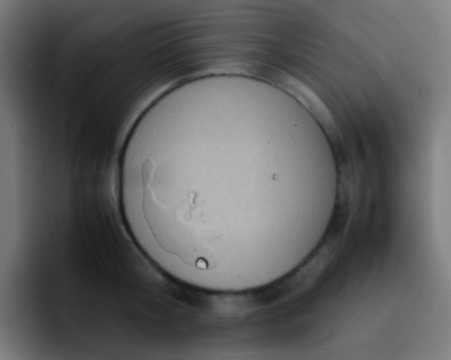 X0000093230804200710101403