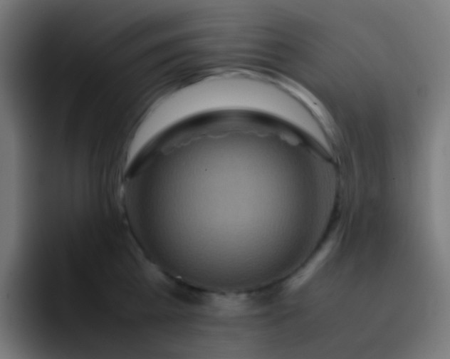 X0000093230809200710101402