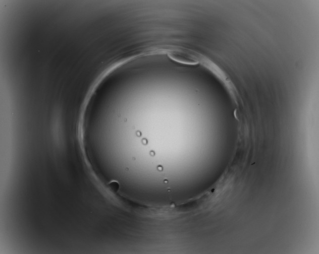 X0000093230811200710101402