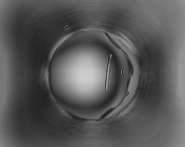 X0000093230812200710101402