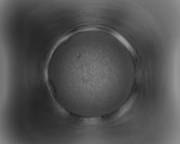 X0000093230813200710101402