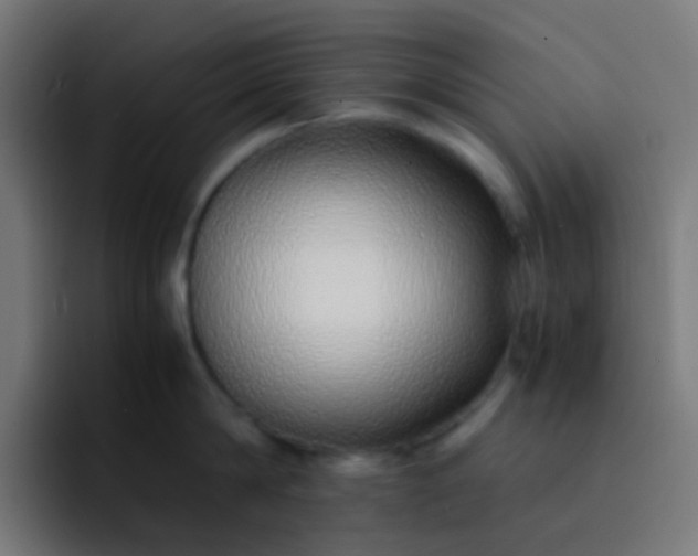 X0000093230814200710101402