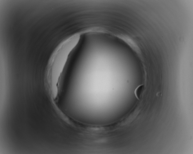 X0000093230816200710101402