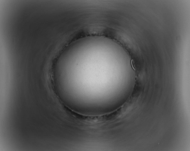 X0000093230817200710101402