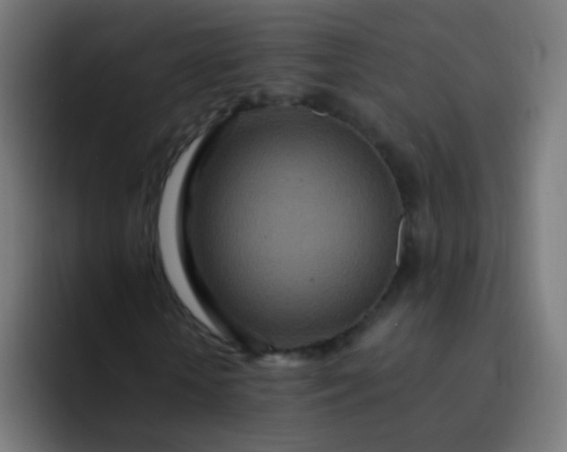 X0000093230818200710101402