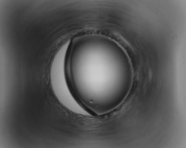 X0000093230821200710101402