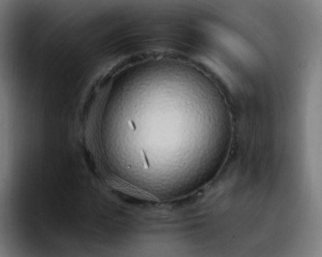 X0000093230823200710101402