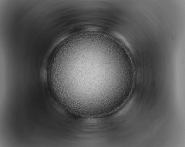 X0000093230827200710101402