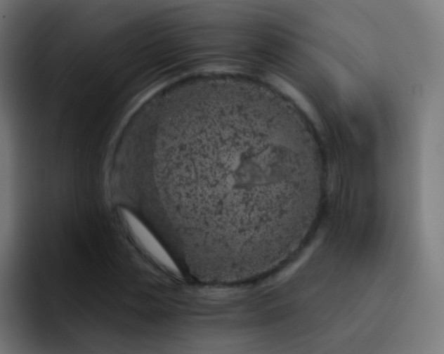 X0000093230829200710101402