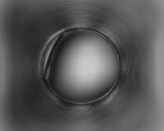 X0000093230830200710101402