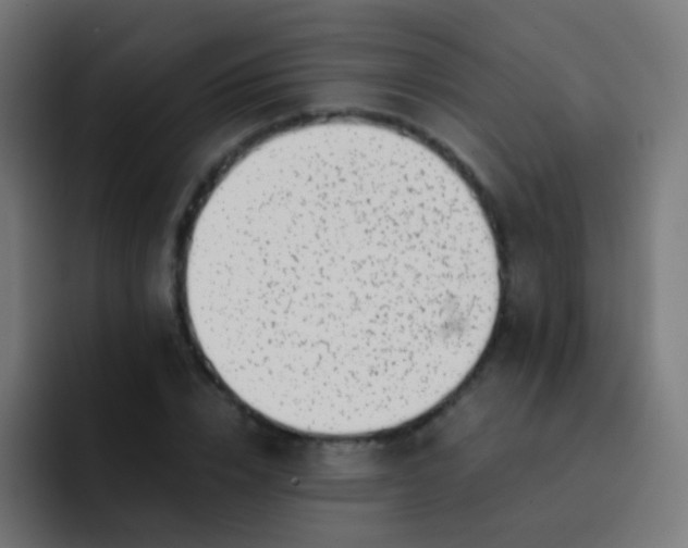 X0000093230832200710101402