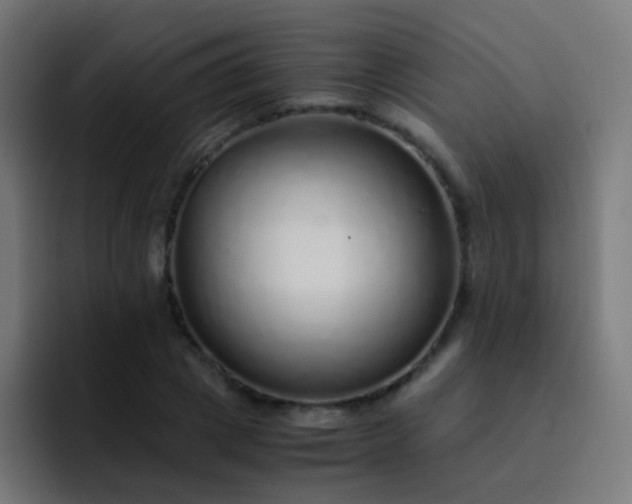 X0000093230833200710101402