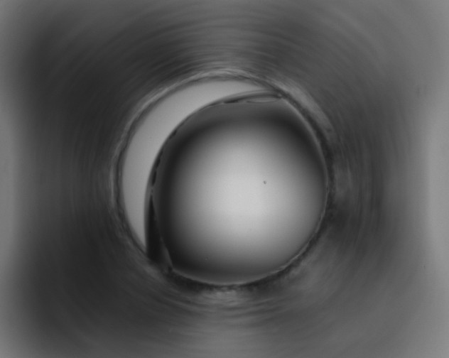 X0000093230834200710101402