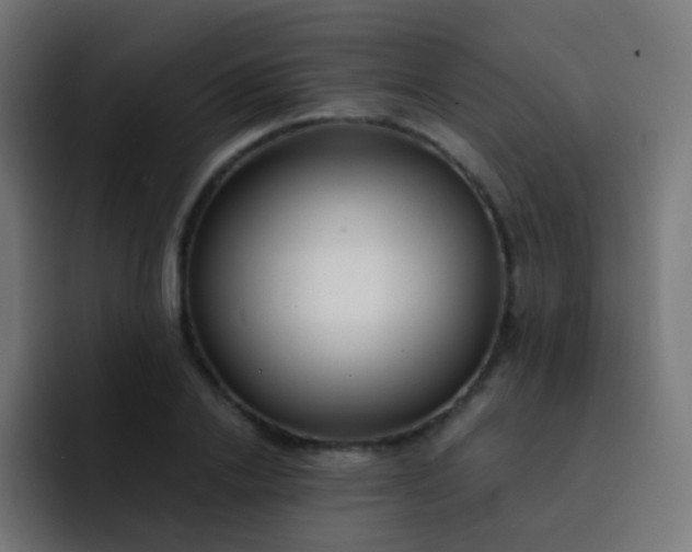 X0000093230838200710101402