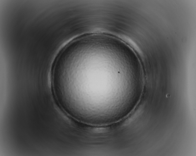 X0000093230839200710101402