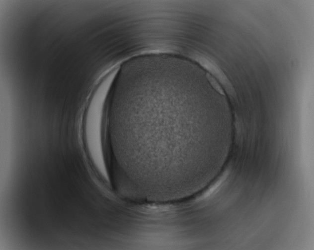 X0000093230842200710101402