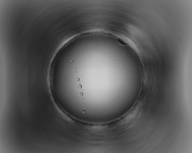 X0000093230847200710101402