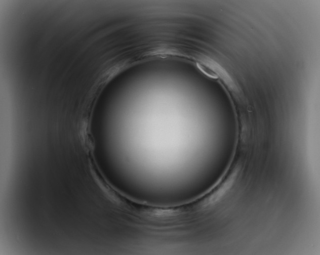 X0000093230849200710101402