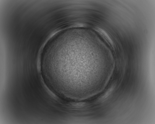 X0000093230851200710101402