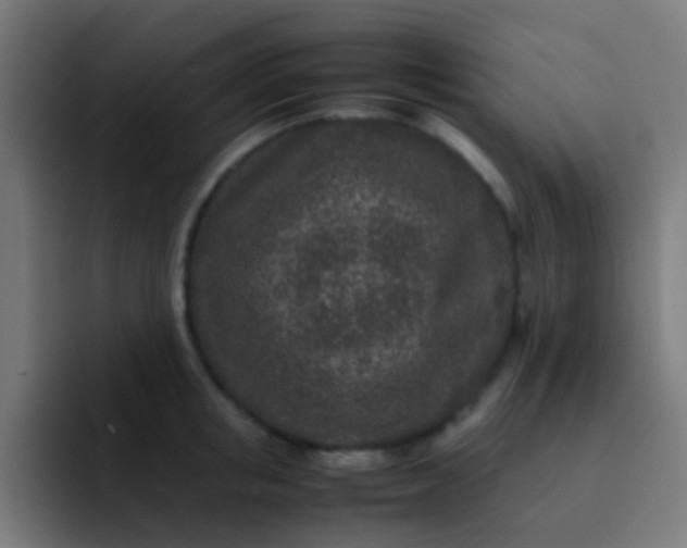 X0000093230853200710101402