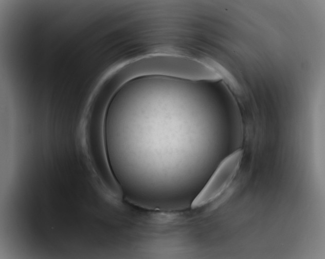 X0000093230854200710101402