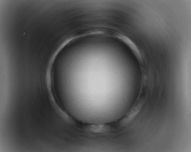 X0000093230859200710101402