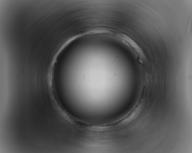 X0000093230860200710101402