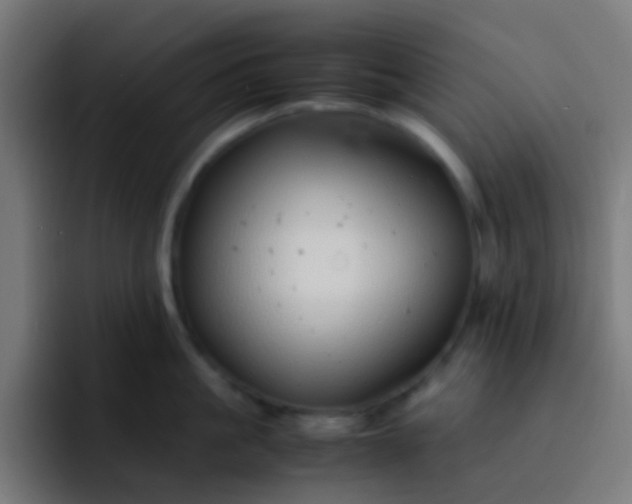 X0000093230861200710101402