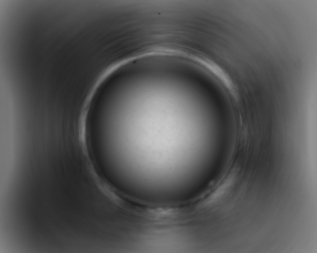 X0000093230862200710101402