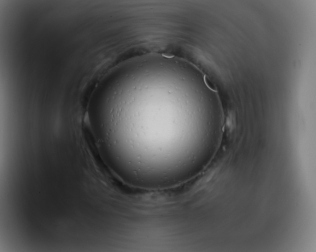 X0000093230867200710101402