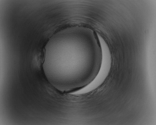 X0000093230868200710101402