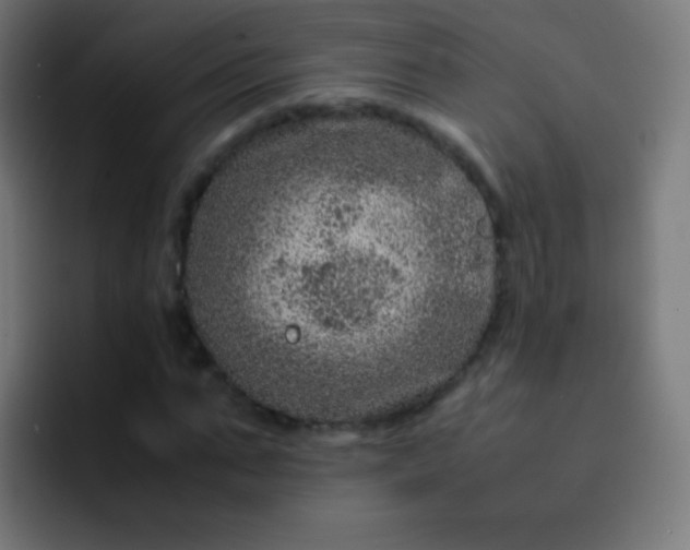 X0000093230871200710101402