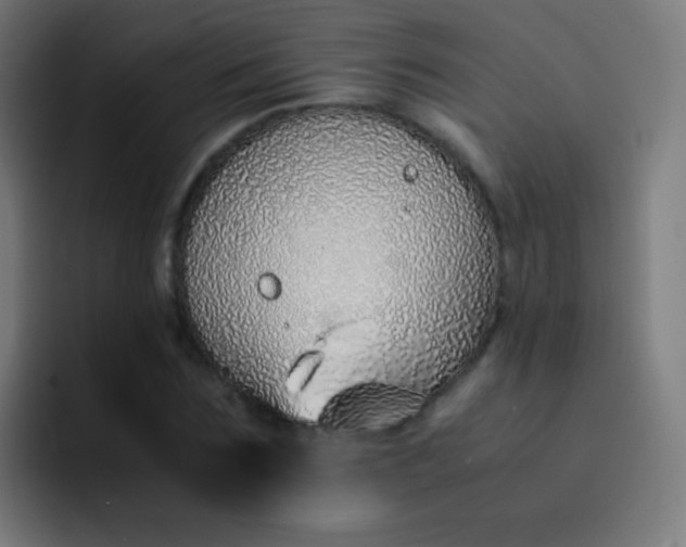 X0000093230875200710101402