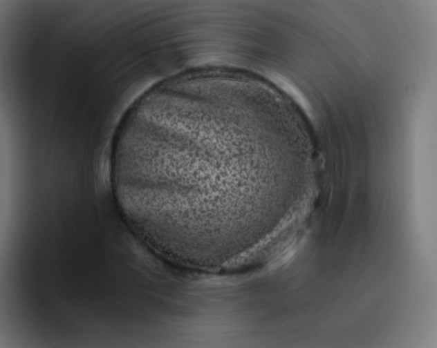 X0000093230877200710101402