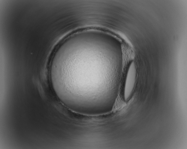 X0000093230879200710101402