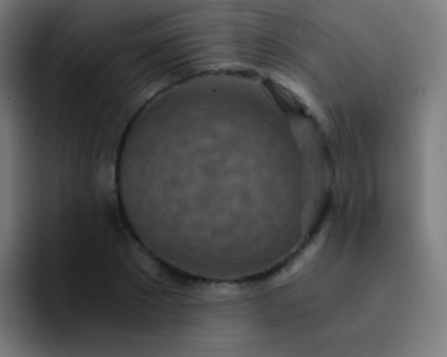 X0000093230881200710101402