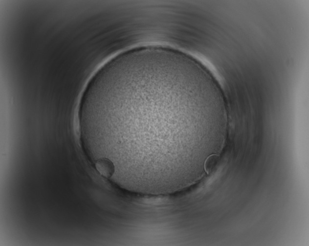 X0000093230887200710101402