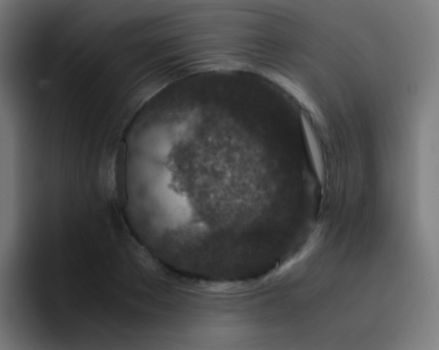 X0000093230889200710101402