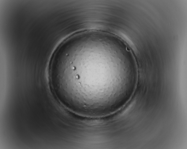 X0000093230891200710101402