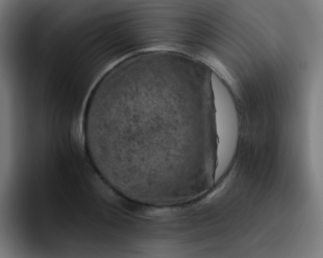 X0000093230892200710101402