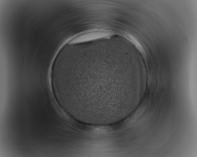 X0000093230899200710101401