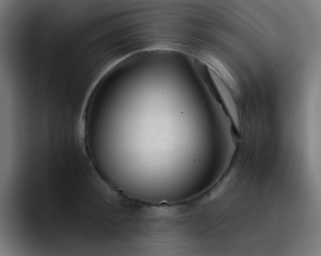 X0000093230900200710101401