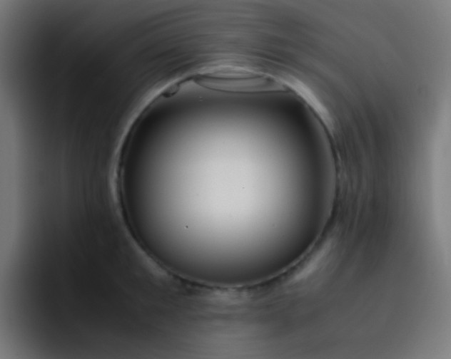 X0000093230901200710101401