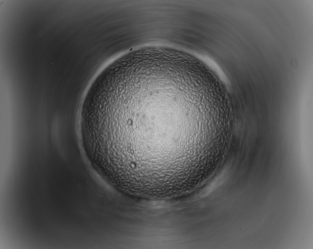 X0000093230903200710101401