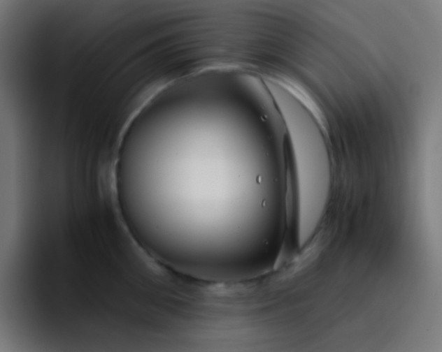 X0000093230906200710101401