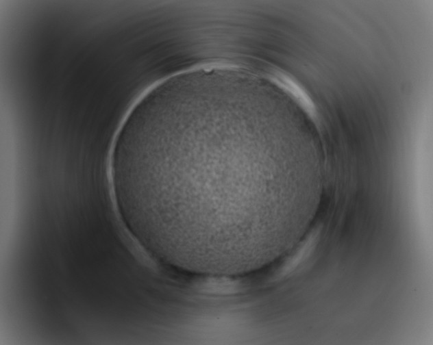 X0000093230907200710101401