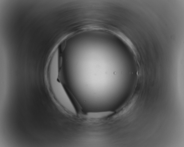 X0000093230909200710101401